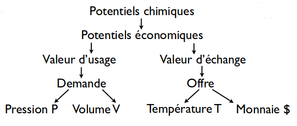 eco-phy.png