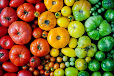 Types de tomates